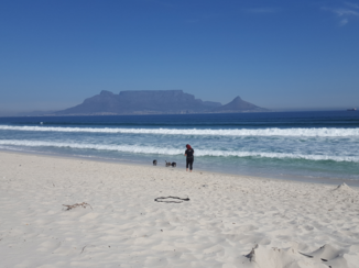 Kaapstad - Tableview