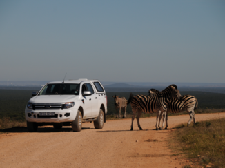 Addo Elephant National Park