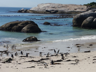 Boulders Beach - Overzicht strand