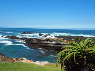 Zuid-Afrika - Tsitsikamma garden route