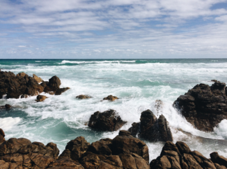 Zuid-Afrika - Agulhas