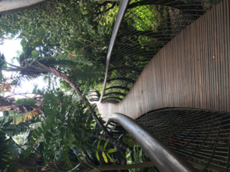 Zuid-Afrika - Kirschtenbosch