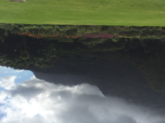 Zuid-Afrika - Kirschtenbosch