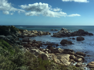 Zuid-Afrika - Cape town area