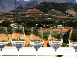 Zuid-Afrika - Haute Cabrière- Stellenbosch