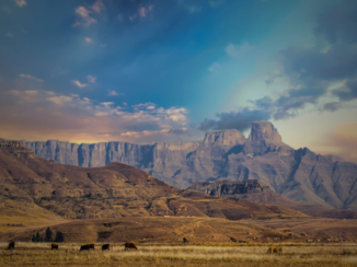 Zuid-Afrika - Drakensbergen