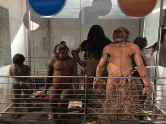 Zuid-Afrika - Maropeng Visitor Centre