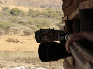 Pilanesberg National Park