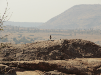 Pilanesberg National Park