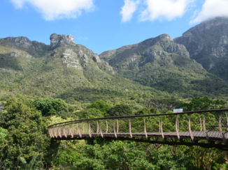 Zuid-Afrika - Kirstenbosch Kaapstad
