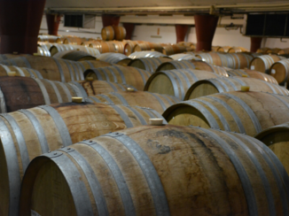 Zuid-Afrika - Wine, wine, wine