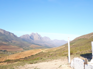 Zuid-Afrika - Even on top of the mountains..facts!