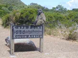 Zuid-Afrika - Welkom op Kaap de Goede Hoop