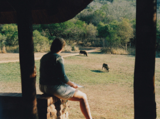Rondreis van Johannesburg naar Kaapstad - Ithala