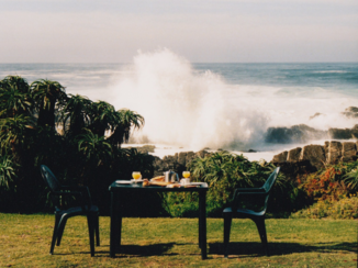 Rondreis van Johannesburg naar Kaapstad - Ontbijten in Tsitsikamma NP