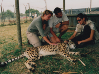 Rondreis van Johannesburg naar Kaapstad - Spier Estate