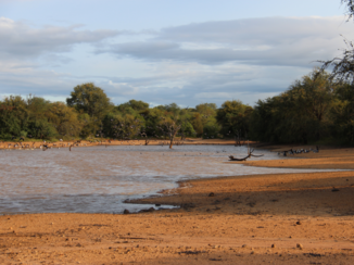 Zuid-Afrika - Zandspruit Estate