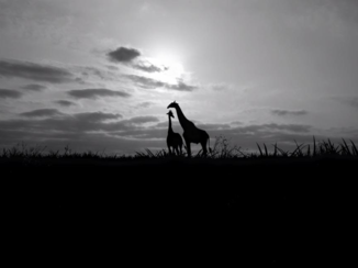 Zuid-Afrika - Wandeling bij zonsondergang