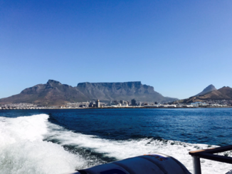 Zuid-Afrika - Tafelberg