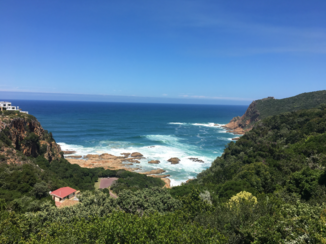 Zuid-Afrika - Lions heads Knysha