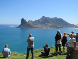 Zuid-Afrika - Walvissen aan het sporten