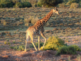 Rondreis van Johannesburg naar Kaapstad - Uitzicht vanuit de Lodge