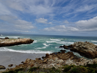 Zuid-Afrika - Hermanus