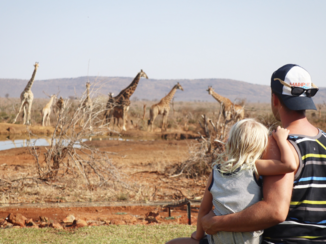 Zuid-Afrika - Magisch Madikwe