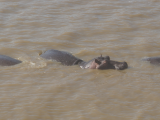 Zuid-Afrika - St. Lucia