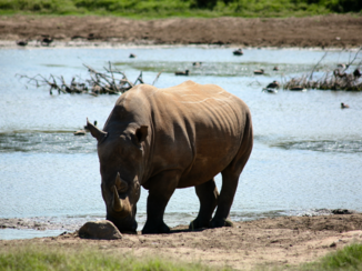 Rondreis Zuid-Afrika in drie weken - St.Lucia