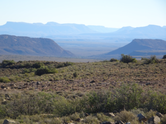 Zuid-Afrika - Karoo NP
