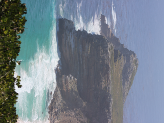 Zuid-Afrika - cape point