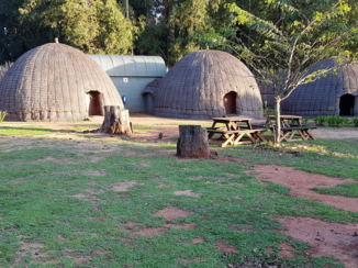 Rondreis van Johannesburg naar Kaapstad - De bijenkorf
