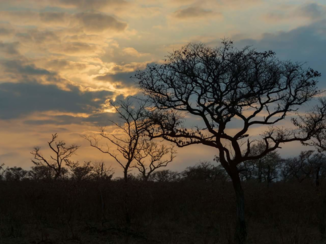 Zuid-Afrika - Zonsondergang