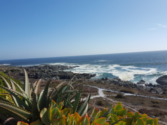 Zuid-Afrika - west cape