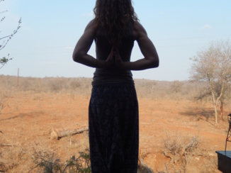 Zuid-Afrika - Yoga in Krugerpark