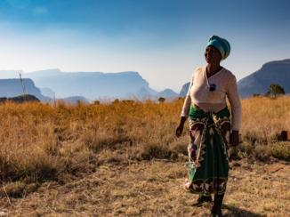 Rondreis Zuid-Afrika in twee weken - Local at Worlds End
