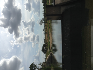 Zuid-Afrika - Kruger park