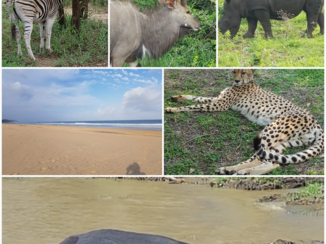 Zuid-Afrika - Zo mooi