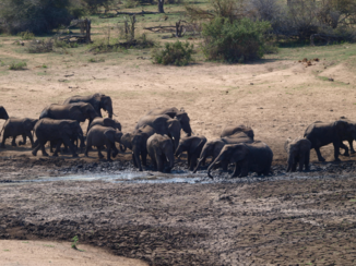 Rondreis van Johannesburg naar Kaapstad