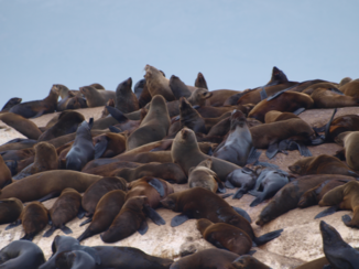Rondreis van Johannesburg naar Kaapstad