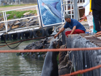 Rondreis van Johannesburg naar Kaapstad