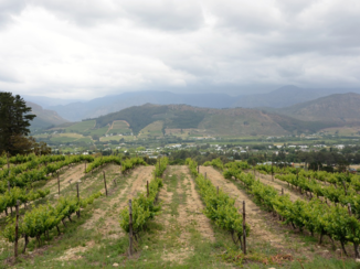 Zuid-Afrika - Wijnroute