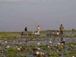 Zuid-Afrika - Onderweg naar onze back to basic kamp.