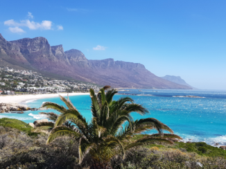 Zuid-Afrika - Kaapstad