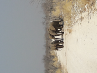 Zuid-Afrika - De mooie natuur en beesten van namibie