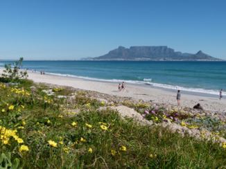 Zuid-Afrika - Kaapstad vanaf Doodles