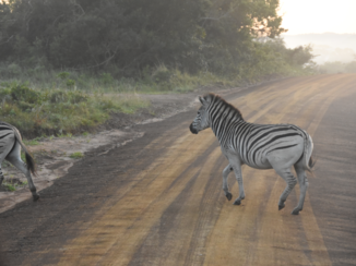 Zuid-Afrika - ST LUcia