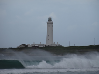 Rondreis Zuid-Afrika in drie weken - Port Elisabeth