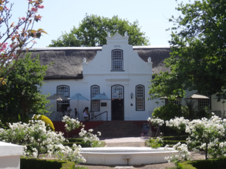 Rondreis Zuid-Afrika in drie weken - Stellenbosch lekker wijn proeven